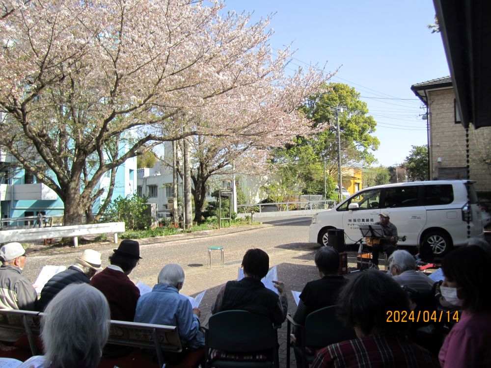 お花見15